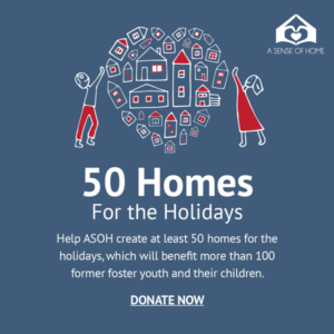 50 Homes for the Holidays Fundraising image